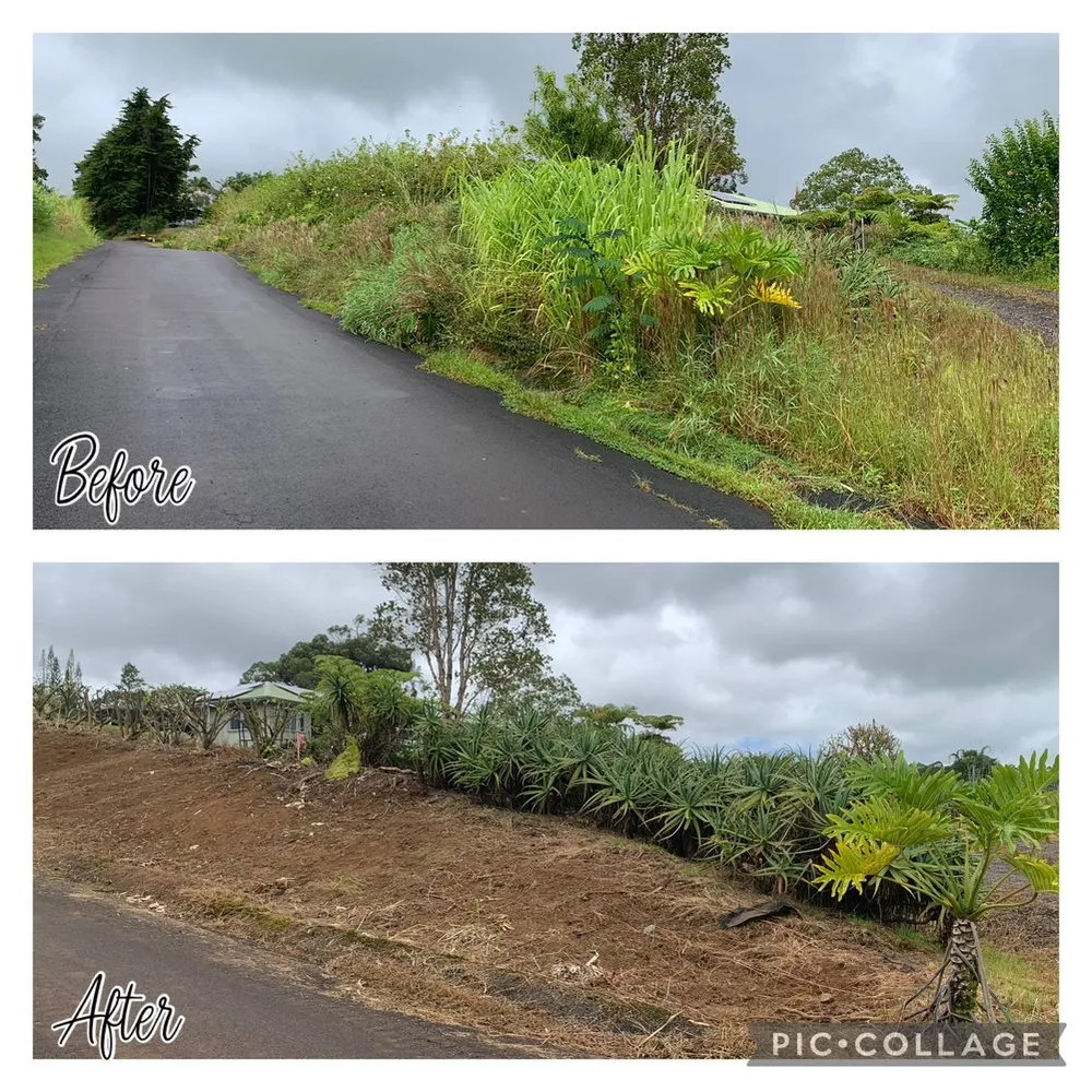Local outdoor landscaping in Mountain View, HI - Top End Services
