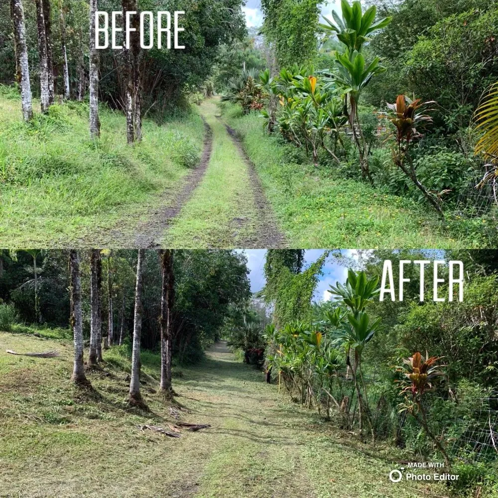 Professional yard maintenance for residential properties in Mountain View, HI by Top End Services