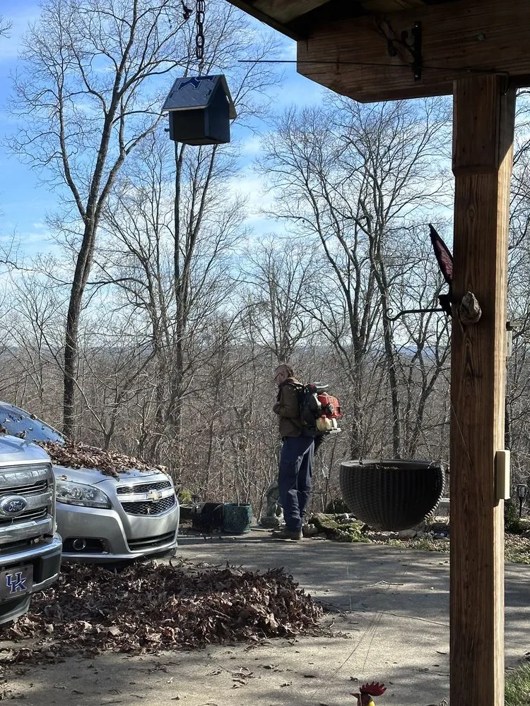 Expert yard maintenance for homes in Clarksville, TN by Top Flight Lawncare & Landscape