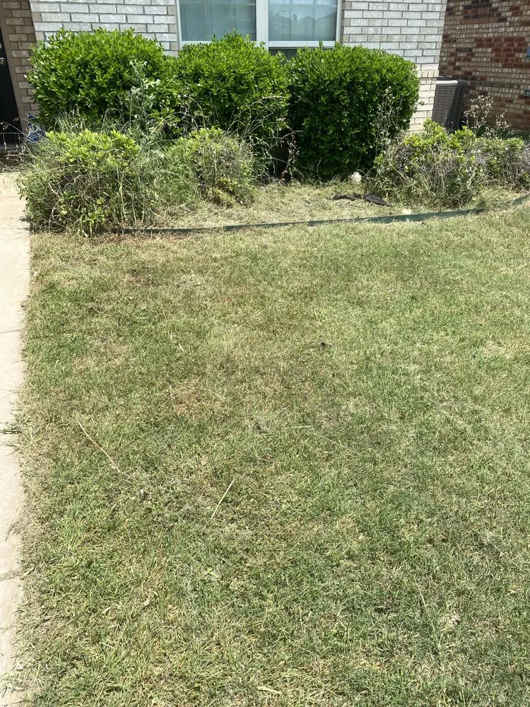 Top-rated garden landscaping in Davenport, IA - Top Floor Lawn Care