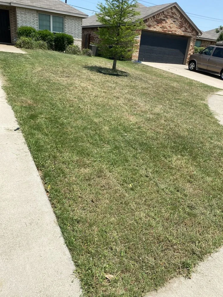 Expert landscape design for year-round maintenance in Davenport, IA by Top Floor Lawn Care