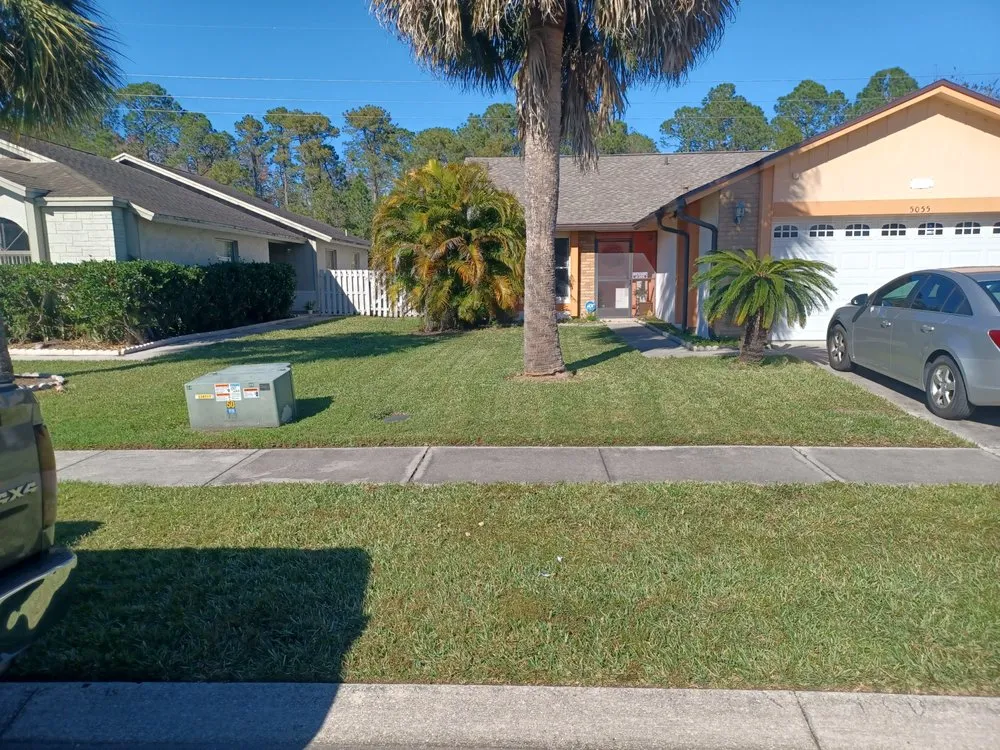 Affordable outdoor landscaping in Kissimmee, FL - Top-G Lawn Care