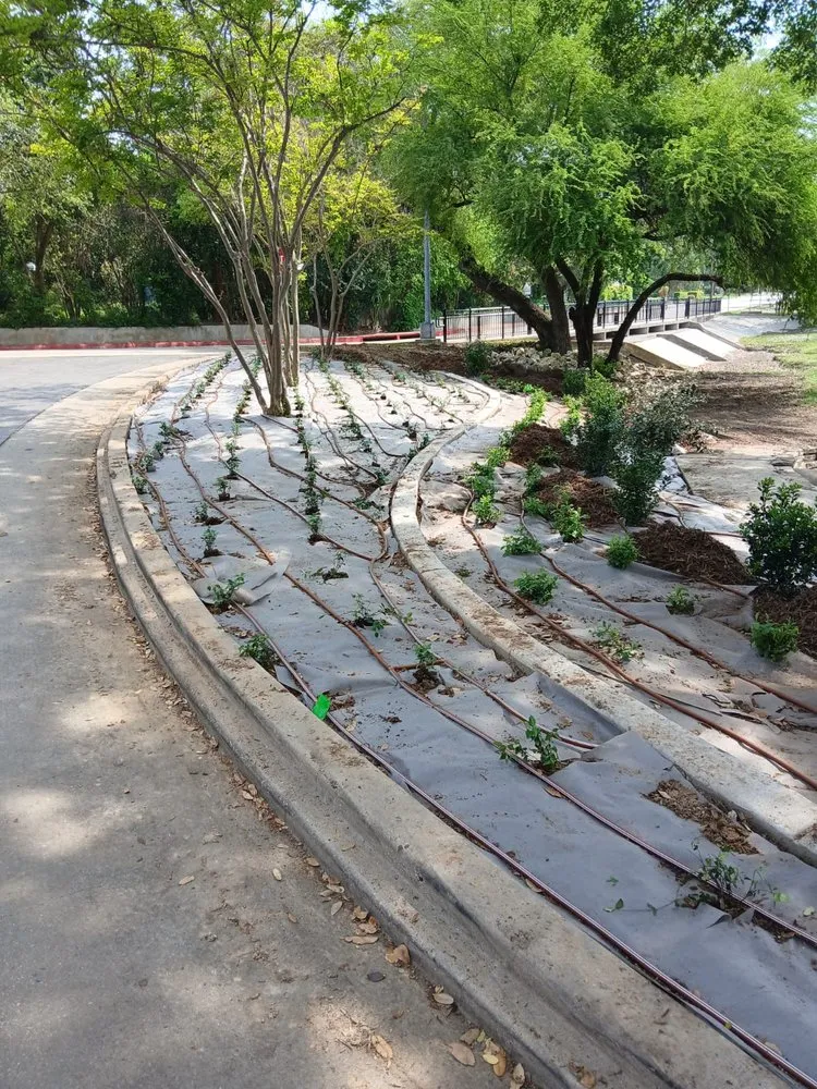 Local residential landscaping for outdoor upgrades across San Antonio, TX - Top Garden Landscaping