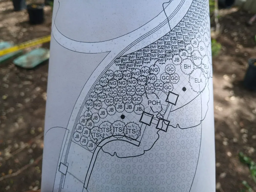 Affordable yard cleanup service for beautiful yards in San Antonio, TX by Top Garden Landscaping