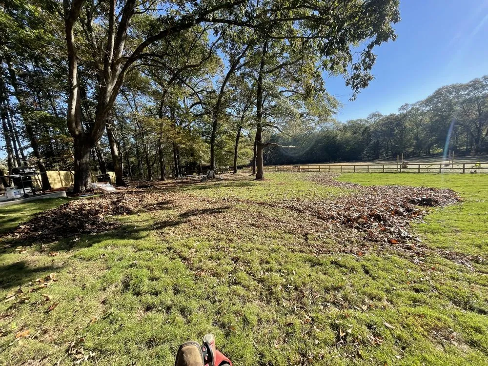 Custom landscaping services experts serving Lawrenceville, GA - Top Garden Landscaping Services