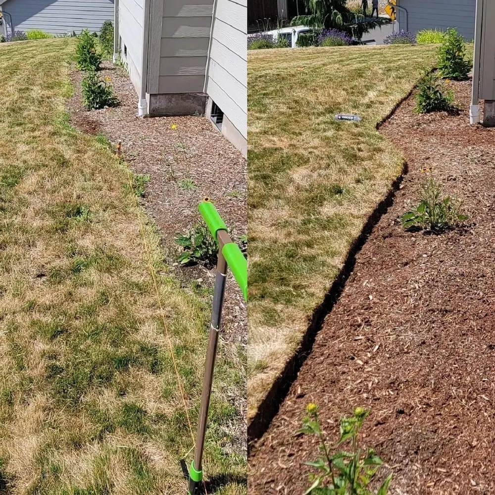 Custom yard cleanup service for outdoor upgrades across Roseburg, OR - Top Garden