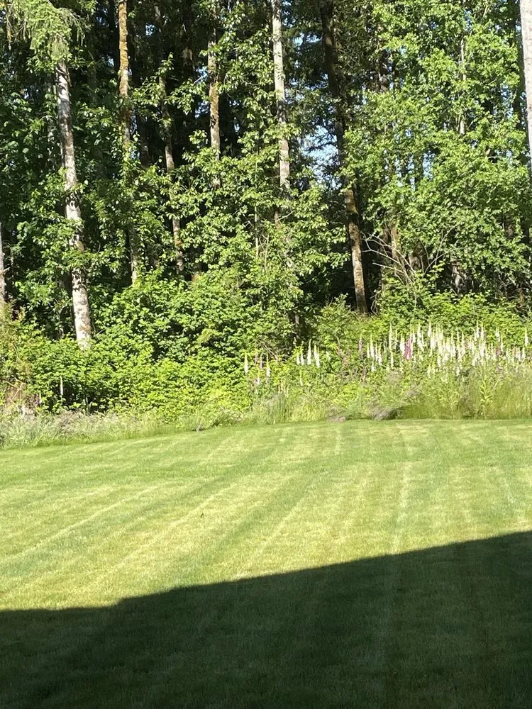 Top-rated outdoor landscaping for beautiful yards across Everett, WA - Top Garden Services