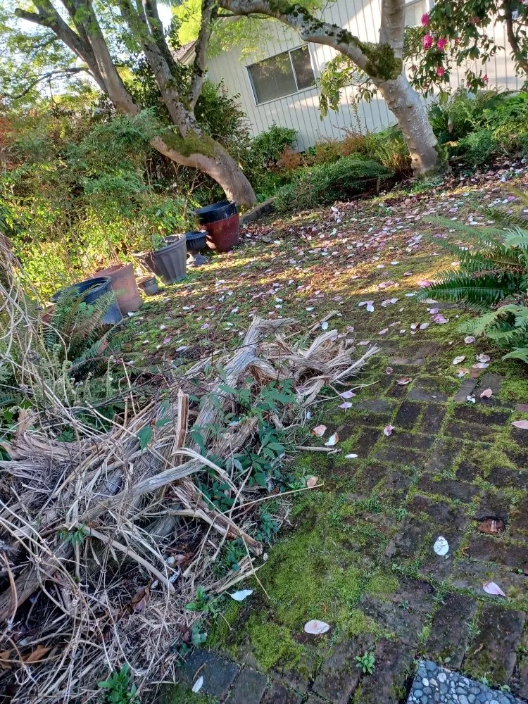 Local outdoor landscaping in Everett, WA by Top Garden Services