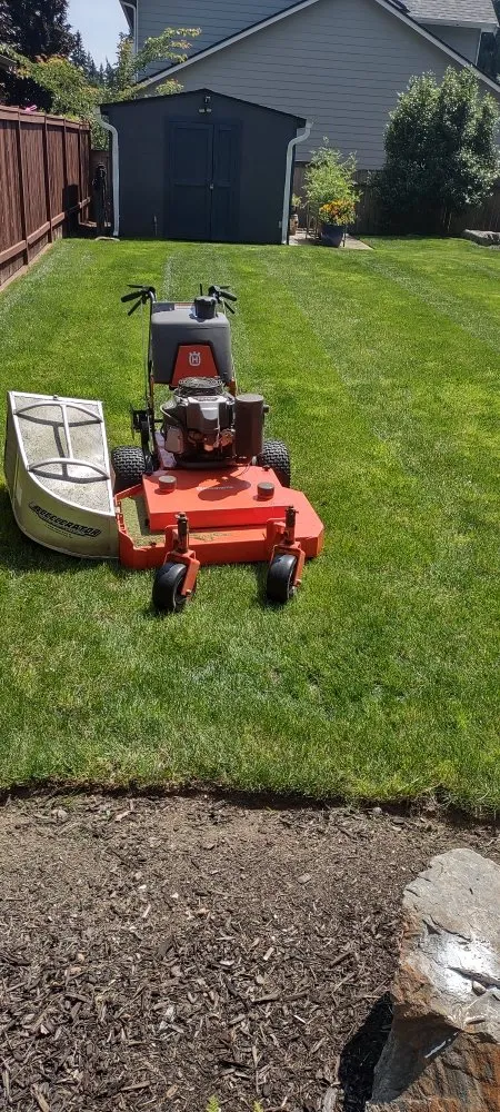 Professional yard cleanup service for residential properties across Everett, WA - Top Garden Services