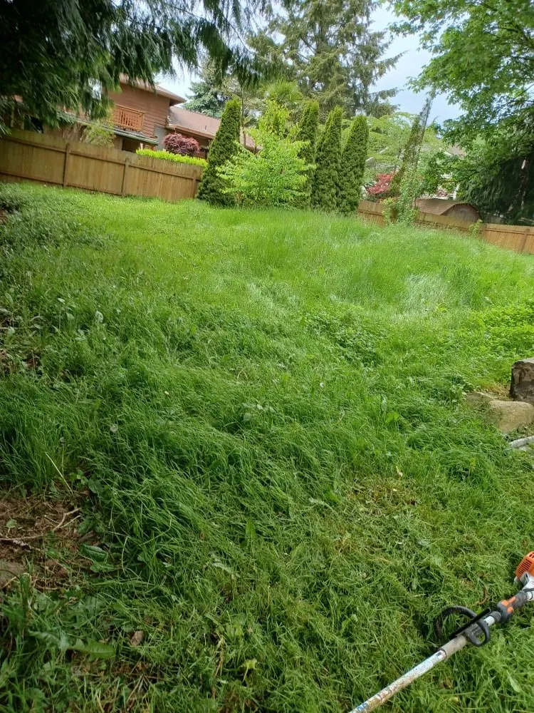 Trusted landscaping services in Everett, WA by Top Garden Services