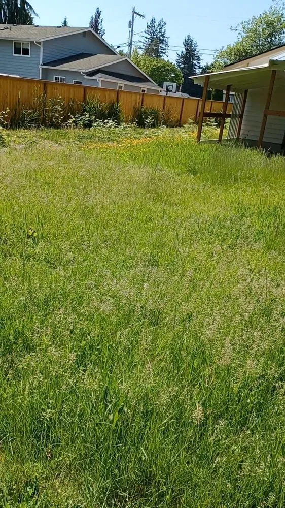 Professional garden landscaping experts serving Everett, WA - Top Garden Services