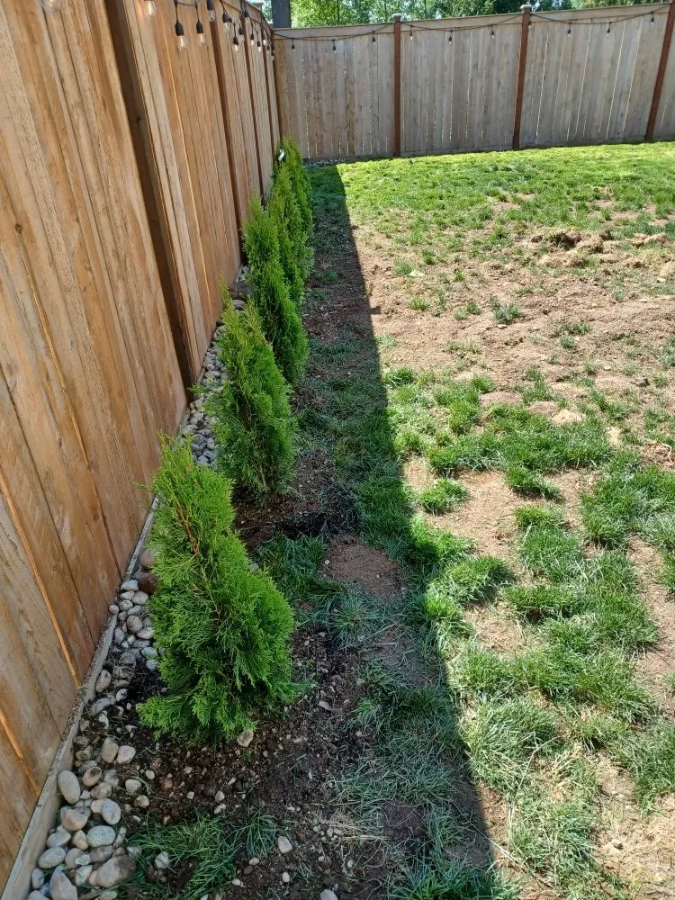 Expert yard cleanup service experts serving Everett, WA - Top Garden Services