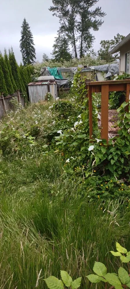 Custom landscape design in Everett, WA by Top Garden Services