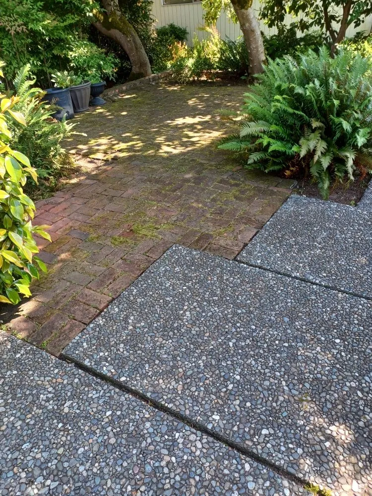 Custom outdoor landscaping for year-round maintenance across Everett, WA - Top Garden Services