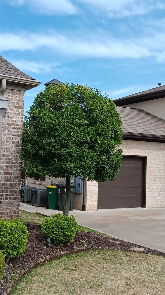 Custom landscape installation for beautiful yards in Little Rock, AR by Top Garden Solutions