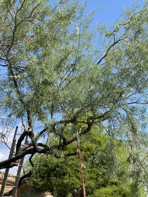 Top Gardeners Landscaping