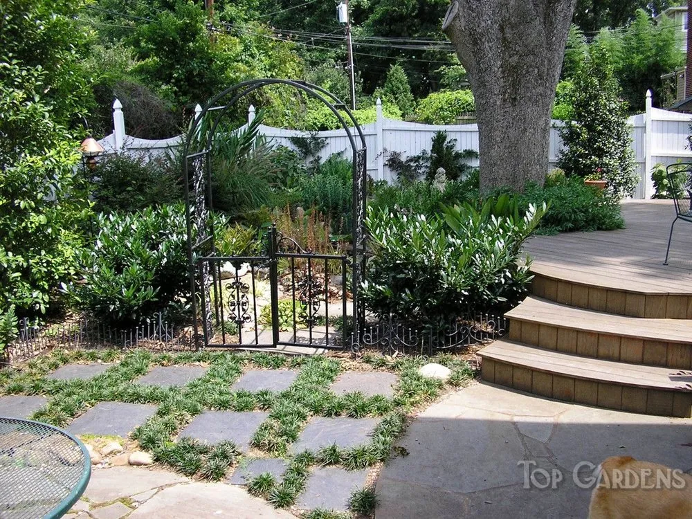 Custom landscape design for homes in Charlotte, NC by Top Gardens