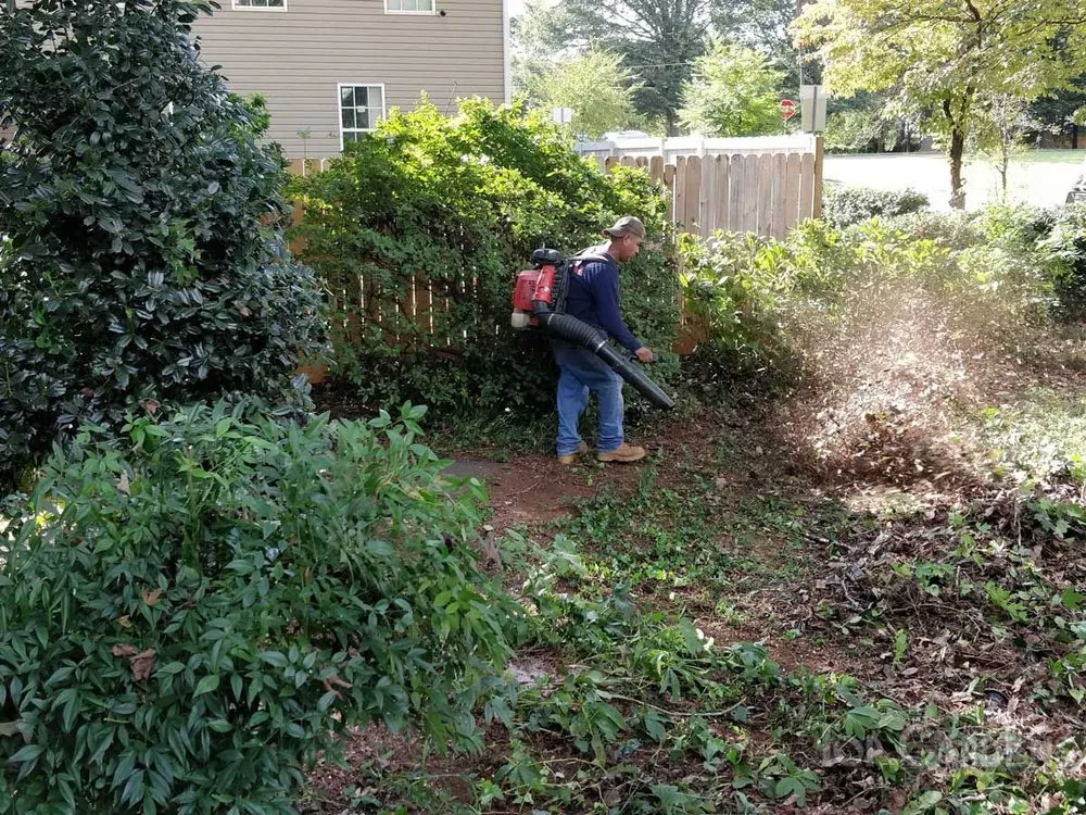 Professional landscaping services for residential properties across Charlotte, NC - Top Gardens