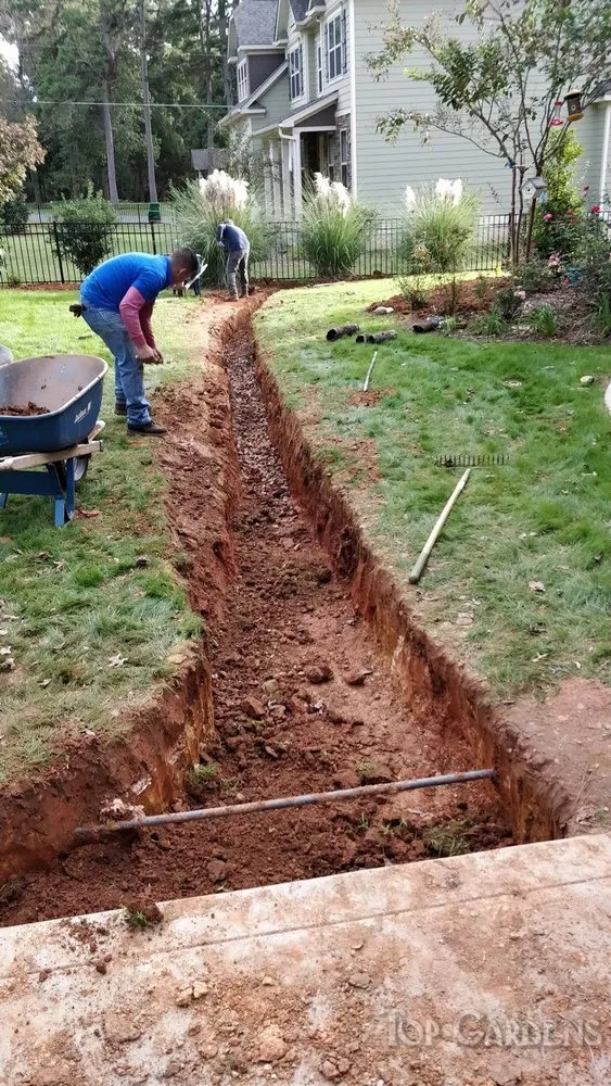 Local lawn care service in Charlotte, NC - Top Gardens