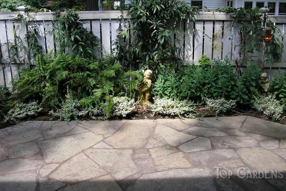 Custom outdoor landscaping in Charlotte, NC by Top Gardens