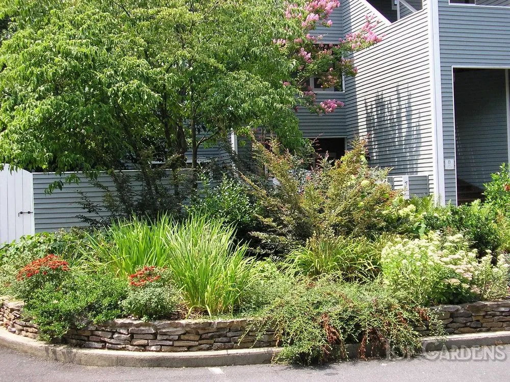 Expert lawn care service in Charlotte, NC - Top Gardens