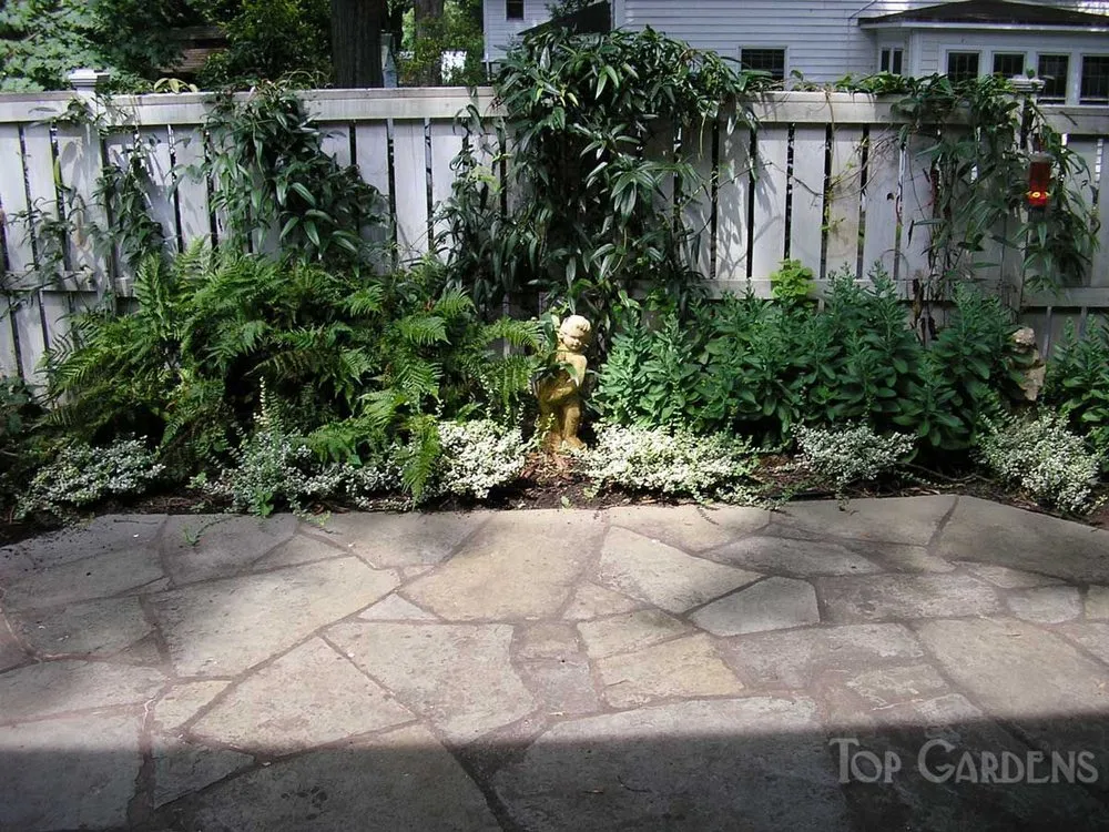 Professional yard maintenance for beautiful yards in Charlotte, NC by Top Gardens