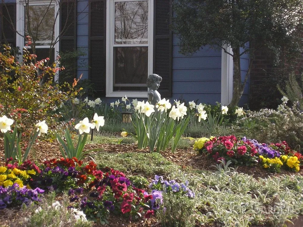 Expert landscaping services experts serving Charlotte, NC - Top Gardens