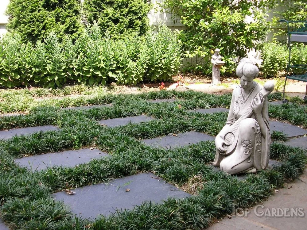 Custom lawn care service in Charlotte, NC - Top Gardens