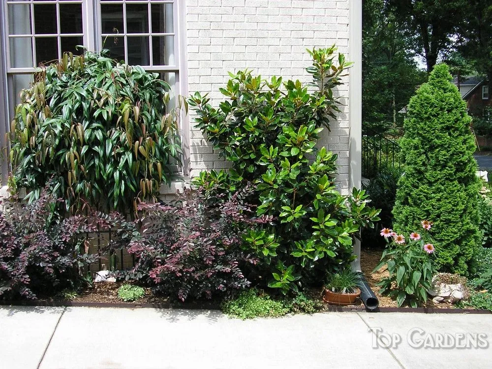 Reliable yard cleanup service with custom design in Charlotte, NC by Top Gardens