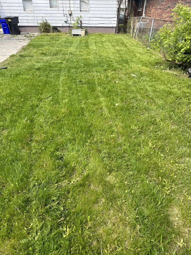 Local landscape design for year-round maintenance across Taylor, MI - Top Goat Lawn Service
