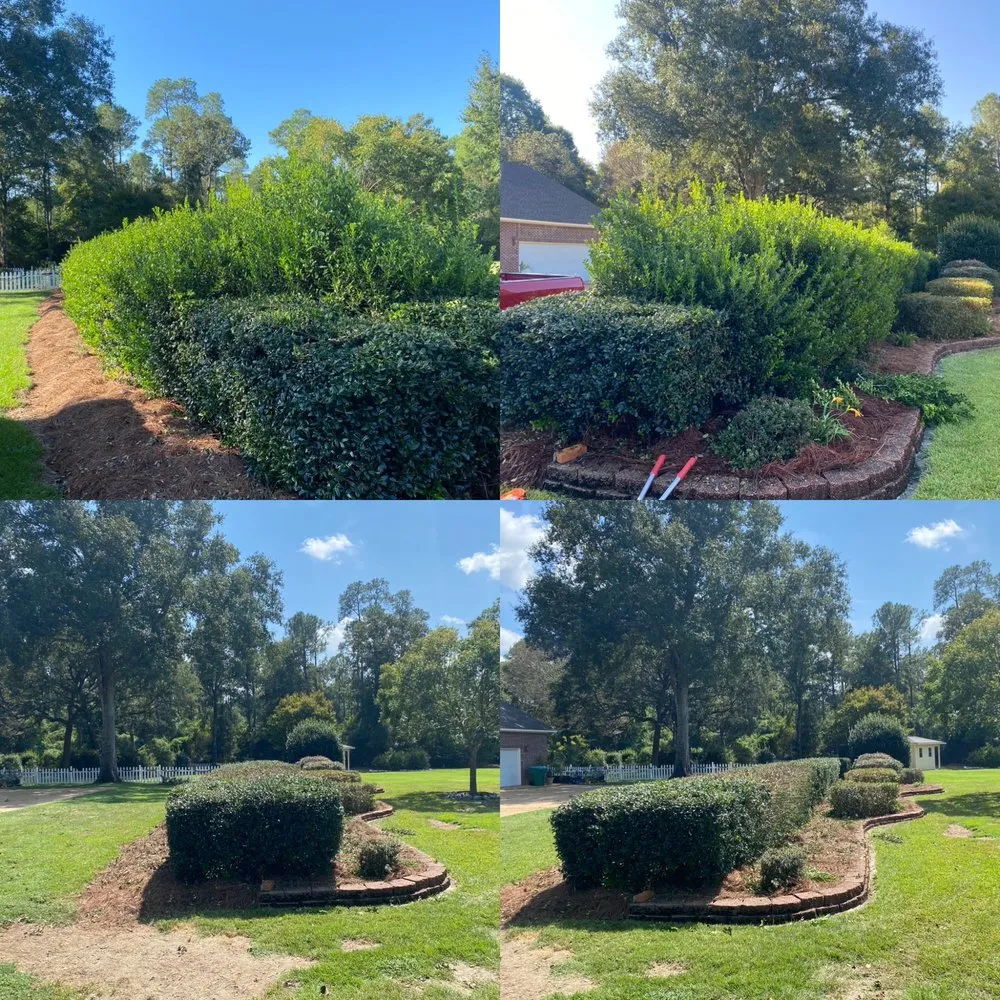 Reliable landscape design for residential properties in Long Beach, MS by Top Grade Property Pros