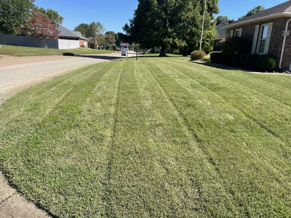 Trusted yard cleanup service for residential properties across Evansville, IN - Top Grass Lawn Care