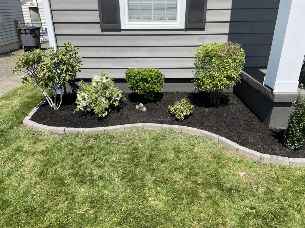 Professional yard cleanup service experts serving Evansville, IN - Top Grass Lawn Care