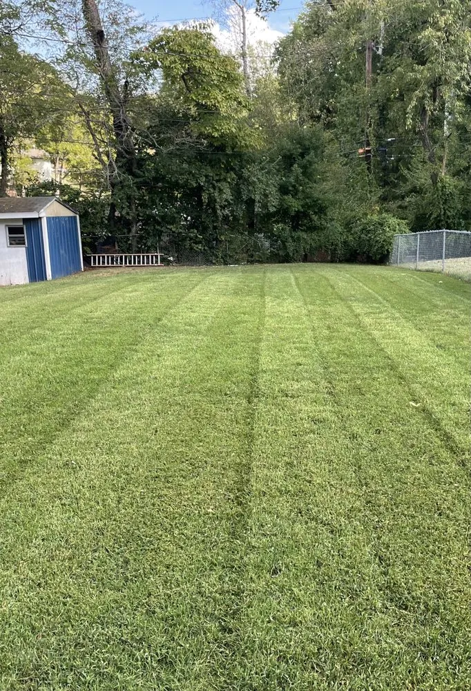 Custom outdoor landscaping for residential properties across Evansville, IN - Top Grass Lawn Care