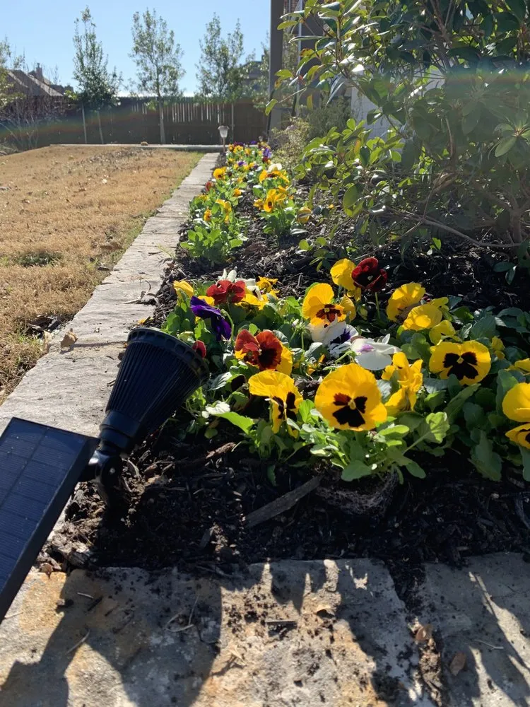 Custom lawn mowing service in Waxahachie, TX by Top Grass Lawn Solutions