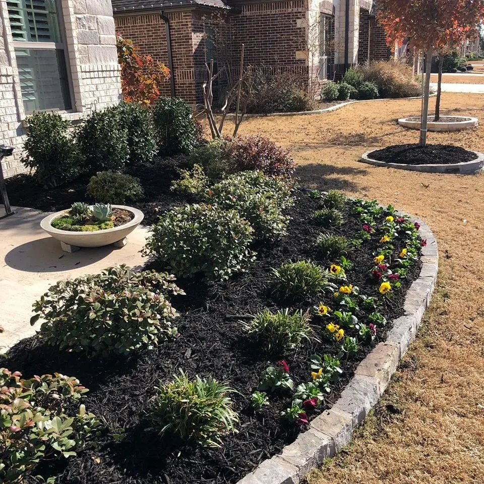 Professional yard cleanup service in Waxahachie, TX by Top Grass Lawn Solutions