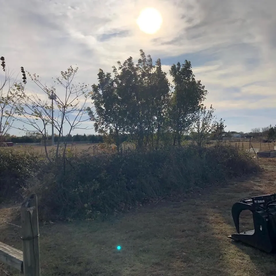 Reliable lawn care service experts serving Waxahachie, TX - Top Grass Lawn Solutions