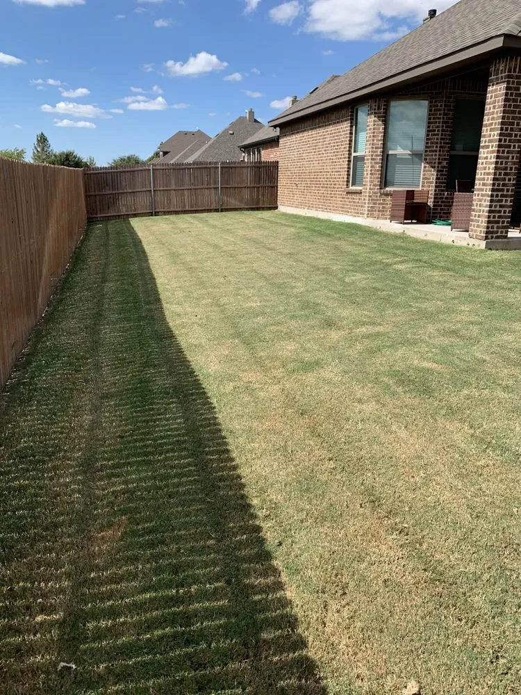 Affordable landscaping services in Waxahachie, TX by Top Grass Lawn Solutions