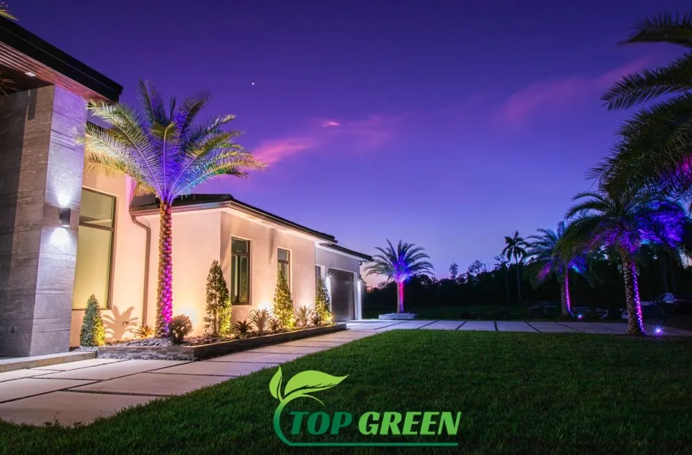 Local yard cleanup service in Fort Lauderdale, FL by Top Green Landscaping