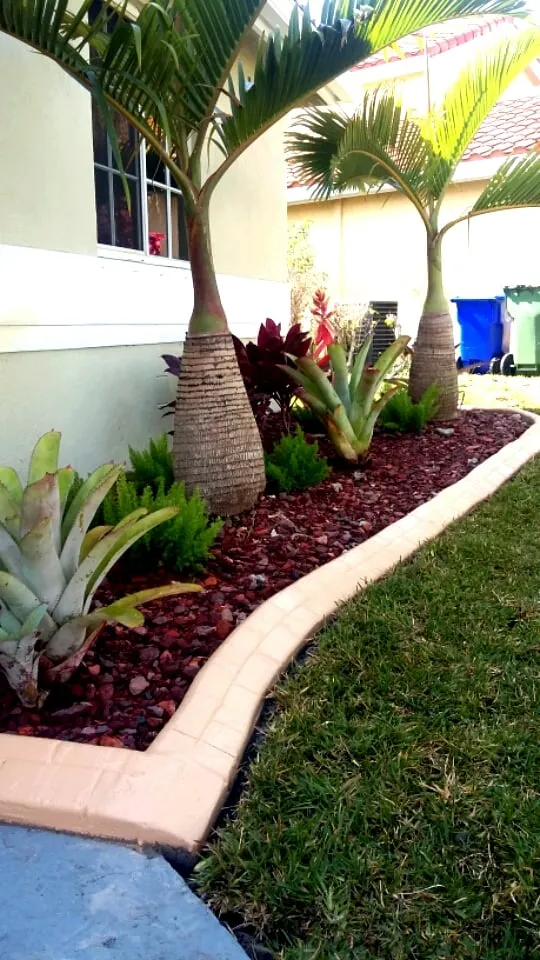 Reliable landscaping services in Fort Lauderdale, FL by Top Green Landscaping