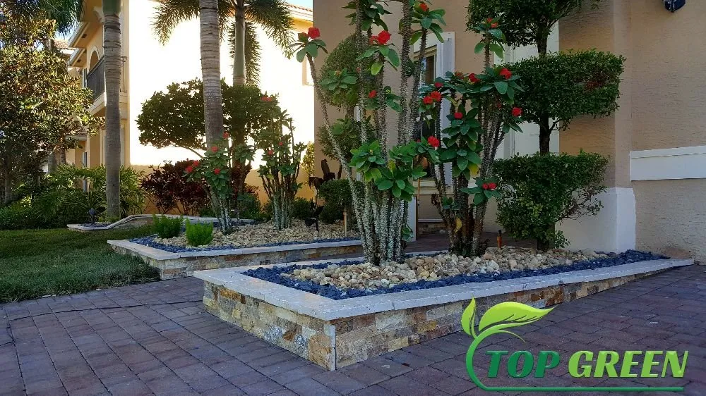 Custom yard cleanup service in Fort Lauderdale, FL by Top Green Landscaping