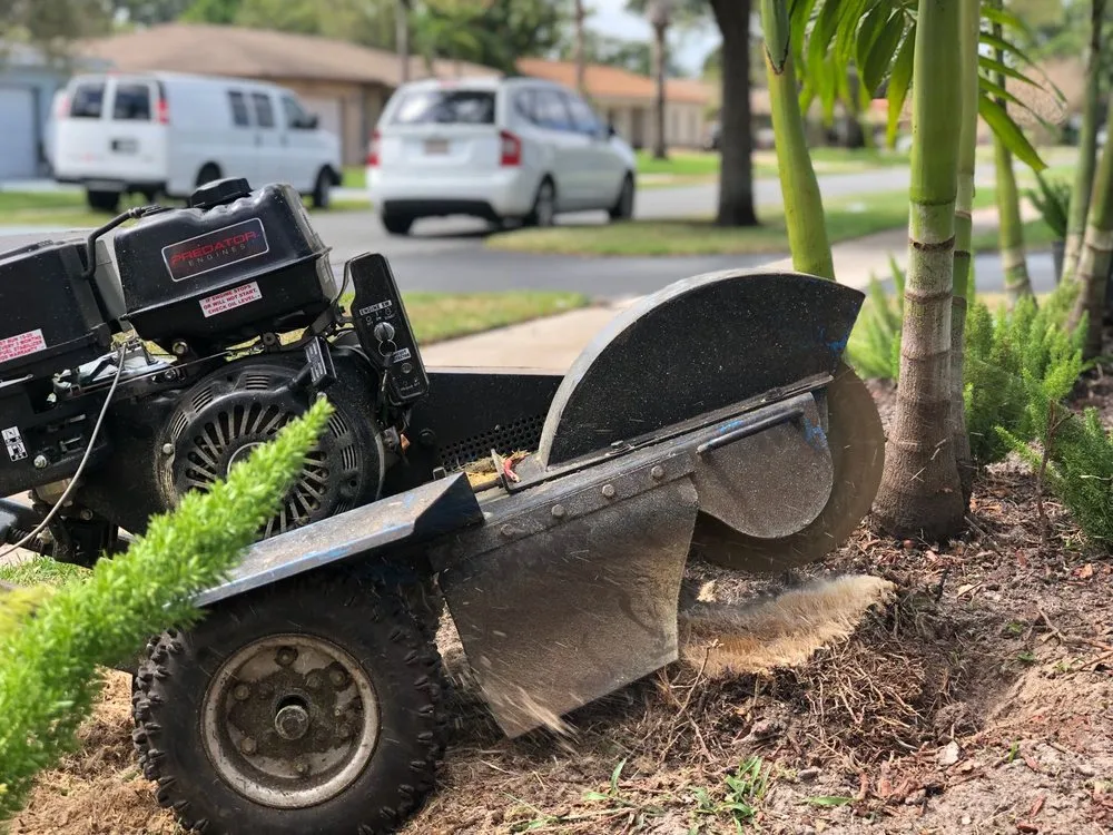 Affordable yard cleanup service for beautiful yards across Fort Lauderdale, FL - Top Green Landscaping
