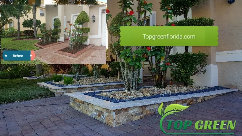 Top-rated outdoor landscaping in Fort Lauderdale, FL - Top Green Landscaping