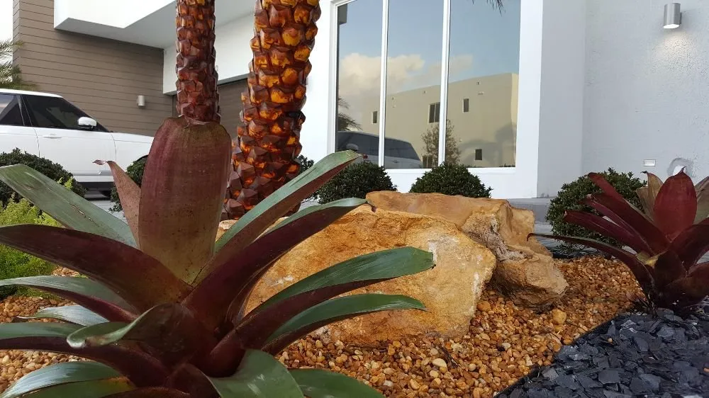 Custom landscaping services for beautiful yards across Fort Lauderdale, FL - Top Green Landscaping