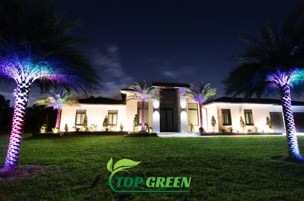 Local yard maintenance in Fort Lauderdale, FL by Top Green Landscaping