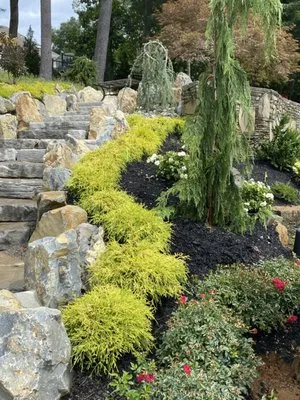 Top Green Landscaping