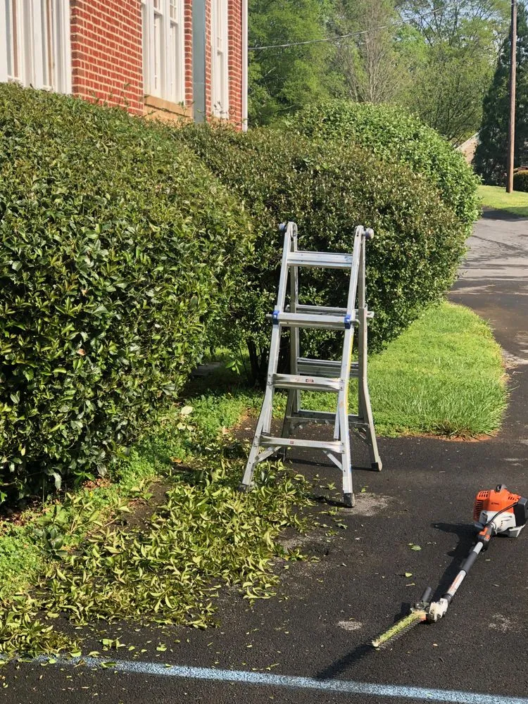 Trusted landscaping services experts serving Adairsville, GA - Top Green Lawn Care