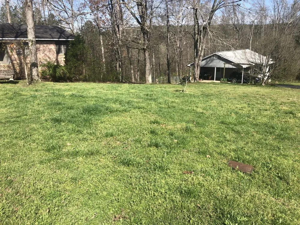 Professional yard cleanup service with custom design in Adairsville, GA by Top Green Lawn Care