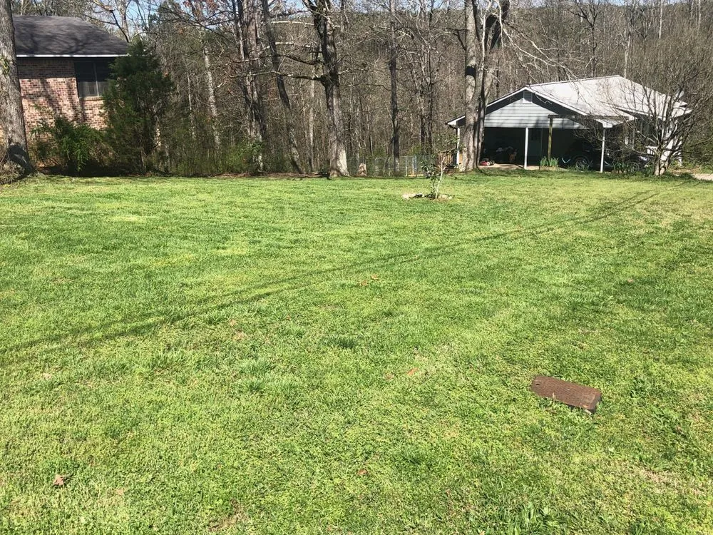 Affordable lawn care service for beautiful yards in Adairsville, GA by Top Green Lawn Care