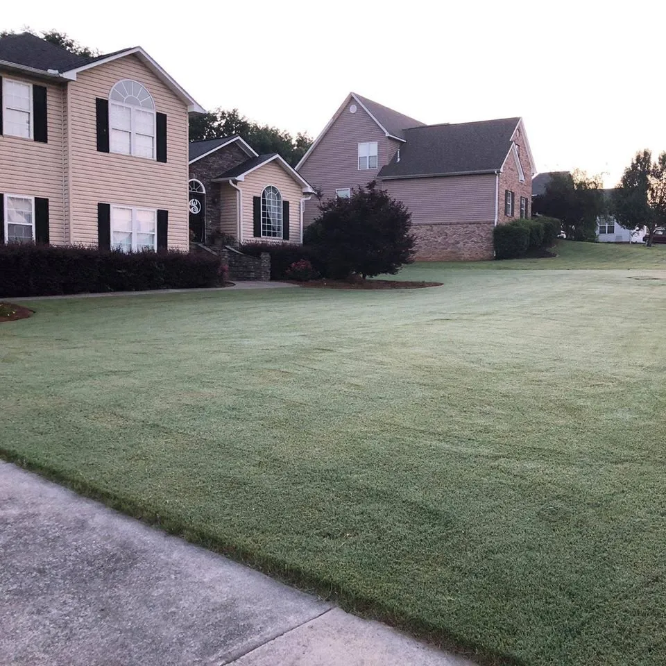 Custom yard cleanup service near you in Adairsville, GA by Top Green Lawn Care